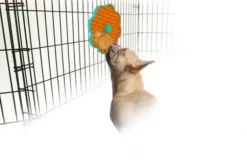 Afp Calming Pals- Lick A Disk