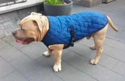 Aqua Coolkeeper Aqua Coolkeeper Jacket