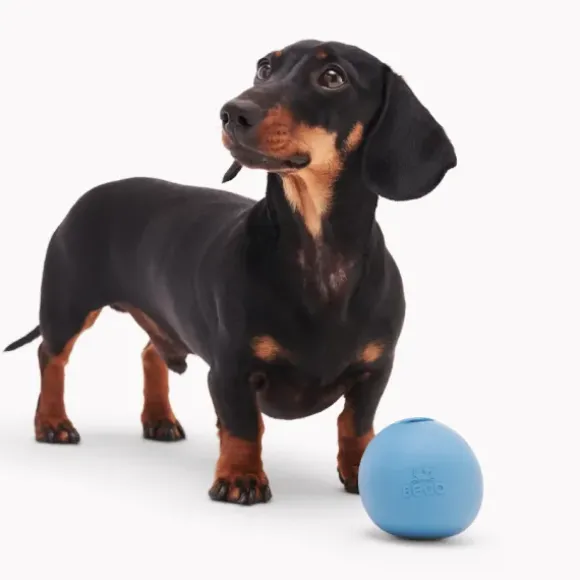 Beco Beco Wobble Ball