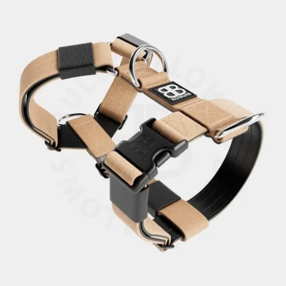 Bullybillows Bullybillows - 4Cm Slip On Collar
