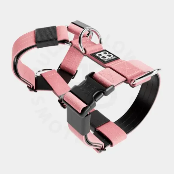 Bullybillows Bullybillows - 4Cm Slip On Collar