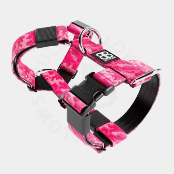 Bullybillows Bullybillows - 4Cm Slip On Collar