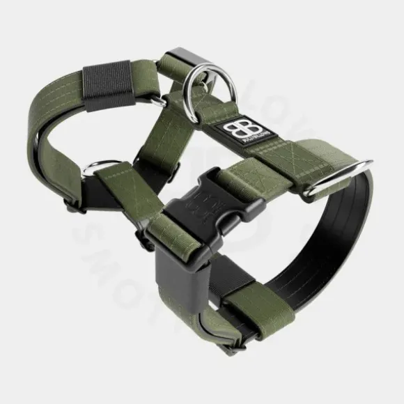 Bullybillows Bullybillows - 4Cm Combat Collar With Handle