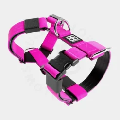 Bullybillows Bullybillows - 4Cm Combat Collar