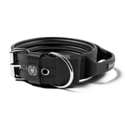 Bullybillows 5Cm Pin Buckle Collar With Handle & Robust Hardware