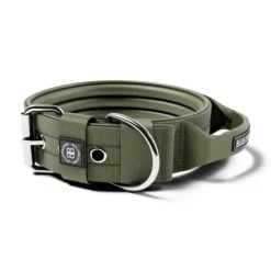 Bullybillows 4Cm Pin Buckle Collar No Handle & Robust Hardware