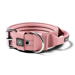 Bullybillows 4Cm Pin Buckle Collar No Handle & Robust Hardware