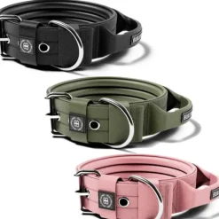 Bullybillows 4Cm Pin Buckle Collar With Handle & Robust Hardware