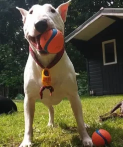 Chuckit Chuckit Ultra Ball