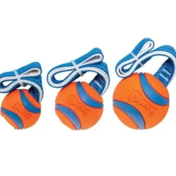 Chuckit Chuckit Ultra Tug