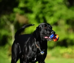 Chuckit Chuckit Ultra Tug