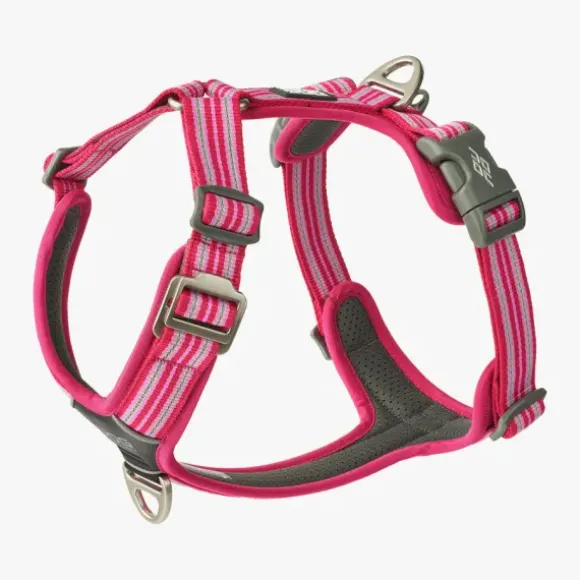 Dog Copenhagen Dog Copenhagen Comfort Walk Go Harness