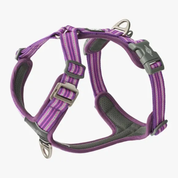 Dog Copenhagen Dog Copenhagen Comfort Walk Go Harness