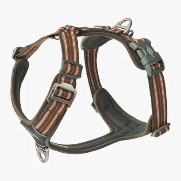 Dog Copenhagen Dog Copenhagen Comfort Walk Go Harness