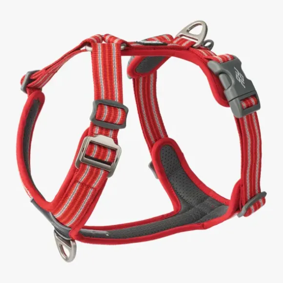 Dog Copenhagen Dog Copenhagen Comfort Walk Go Harness