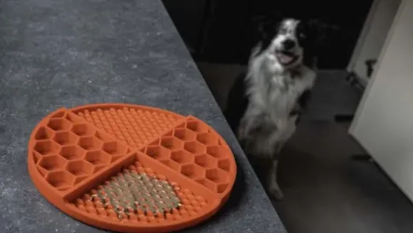 Eat Slow Live Longer Lick Mat Dimensions Circle