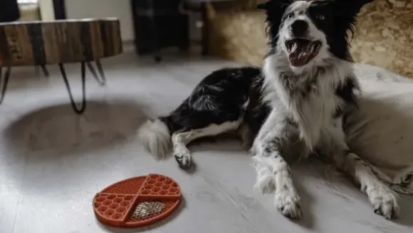 Eat Slow Live Longer Lick Mat Wave