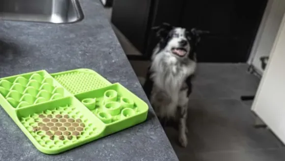 Eat Slow Live Longer Likmat Dimensions Rectangle