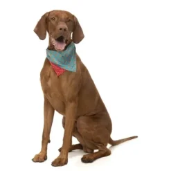 Fuzzyard Fuzzyard Xmas Bandana Naughty Ginger