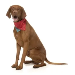 Fuzzyard Fuzzyard Xmas Bandana Naughty Ginger