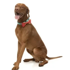 Fuzzyard Fuzzyard Xmas Bowtie Ho Ho Howdie