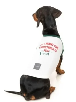 Fuzzyard Fuzzyard Xmas T-Shirt All I Want For Christmas Is Food