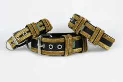 Gallus Gallus Halsband Blue/Pink/Yellow