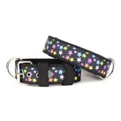 Gallus Gallus Halsband Color Stars