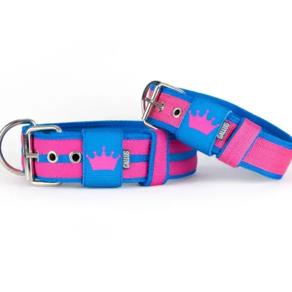 Gallus Gallus Halsband Crown