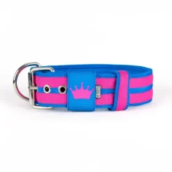 Gallus Gallus Halsband Crown