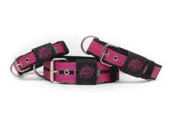 Gallus Gallus Halsband Mint