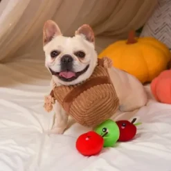 Hugsmart Autumn Tailz Apple Basket