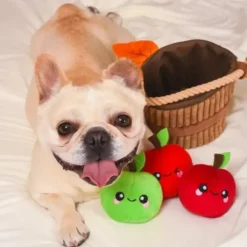 Hugsmart Autumn Tailz Apple Basket