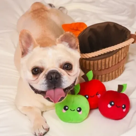 Hugsmart Autumn Tailz Apple Basket