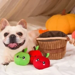Hugsmart Autumn Tailz Apple Basket
