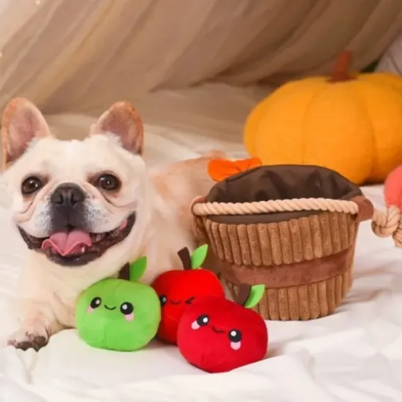 Hugsmart Autumn Tailz Apple Basket