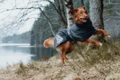 Hurtta Hurtta Monsoon Coat Regenjas