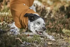 Hurtta Hurtta Warming Midlayer Eco Hondenjas