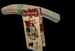 I&I Pets I&I Pets Red Deer