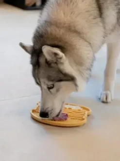 Inooko Inooko Yoomy Burger Likmat