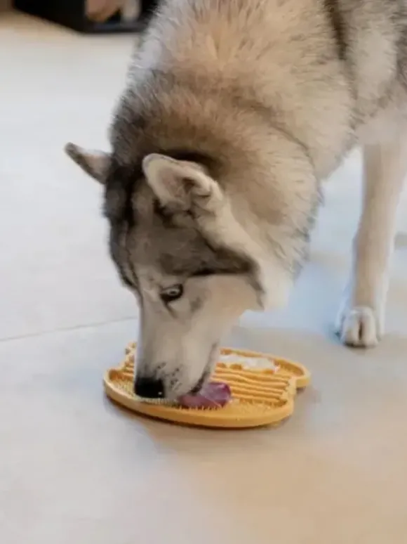 Inooko Inooko Yoomy Burger Likmat