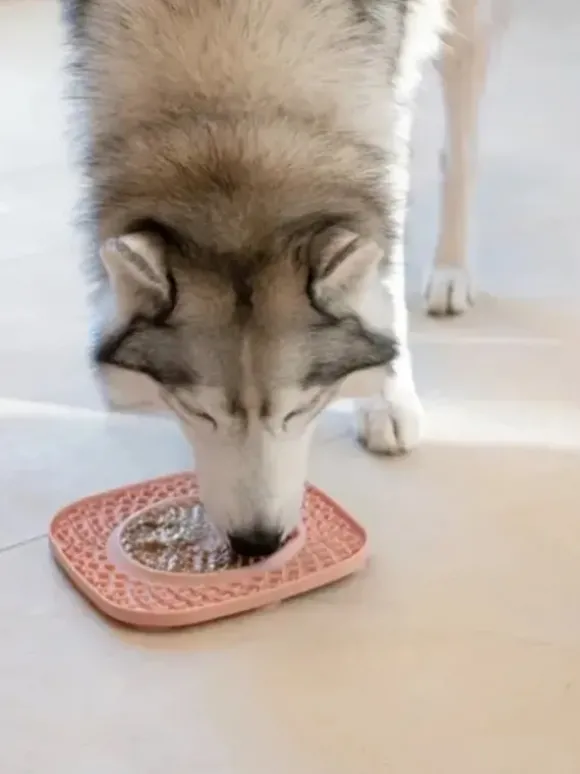 Inooko Inooko Yoomy Plate Likmat