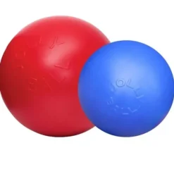 Jolly Jolly Ball Push And Play