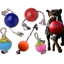 Jolly Jolly Ball Romp N Roll