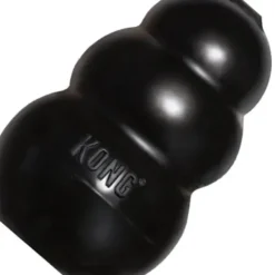Kong Kong Extreme