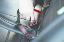 Kong Kong Seat Belt Tether