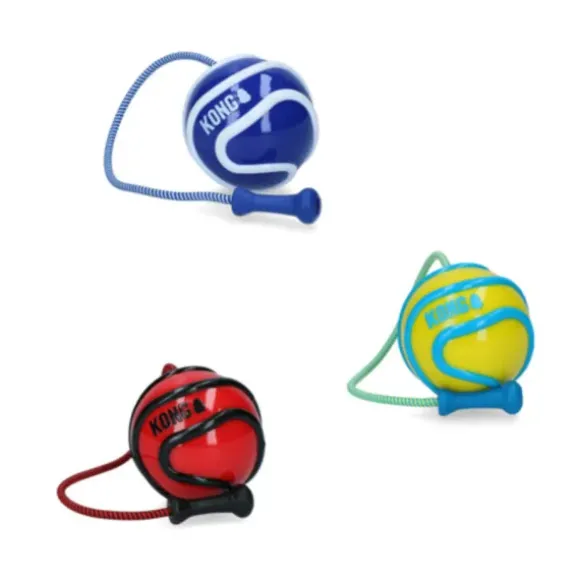Kong Kong Wavz Bunjiball