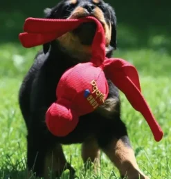 Kong Kong Wubba