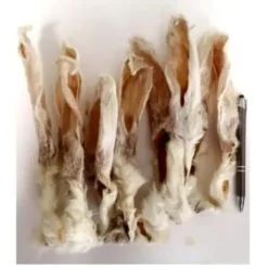Konijnenoren Met Haar