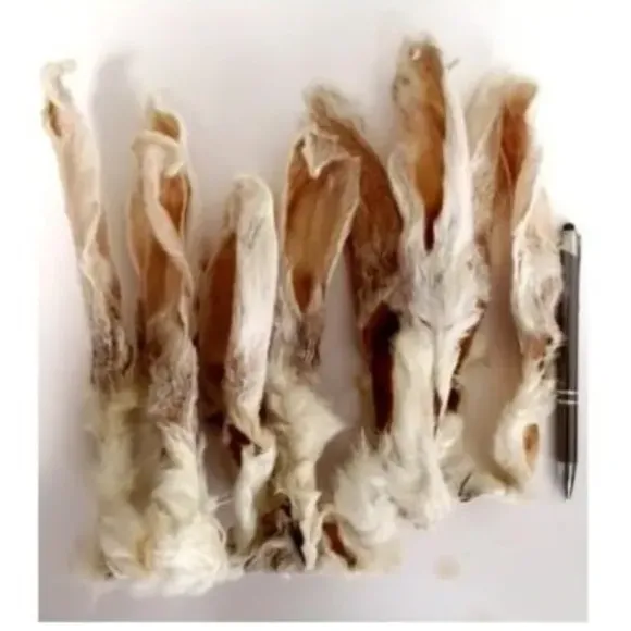 Konijnenoren Met Haar